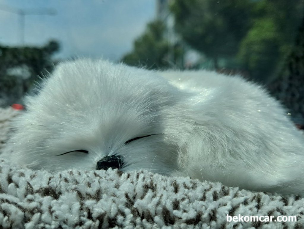 귀여운 강아지가 웃고 있다.|bekomcar.com