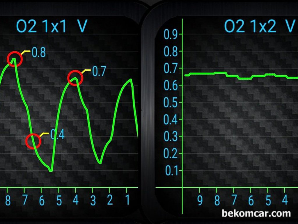 触媒、酸素センサーのグラフ|ベコムカー (bekomcar)