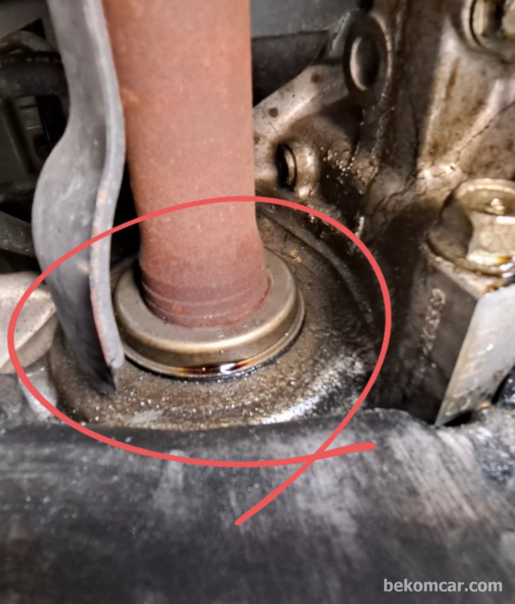 Look for any oil leaks underneath the car during inspection|bekomcar.com
