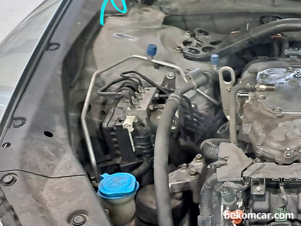 본네트 고정에 바이스 사용해도 좋아|贝科姆汽车 (bekomcar)
