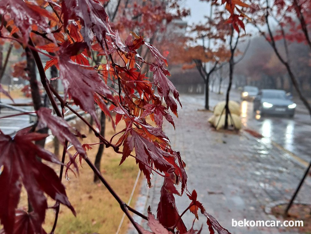 비가오는 어느 11월의 아침 출근길|بيكومكار  (bekomcar)