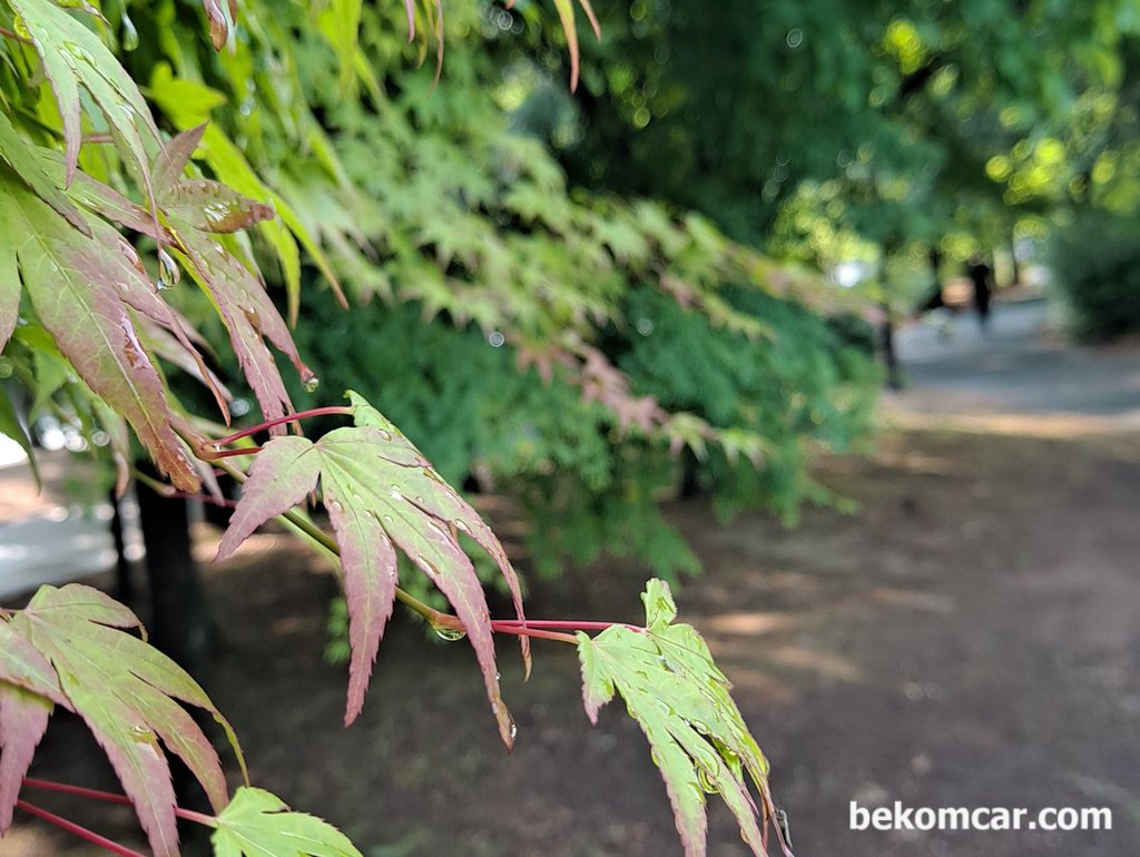 읍내에 다녀오는길이다. 서울이 읍내이다|bekomcar.com