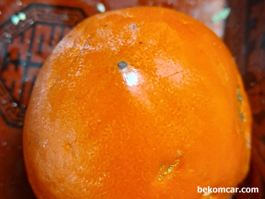 겨울에 먹는 먹음직스런 맛있는 홍시이다|贝科姆汽车 (bekomcar)