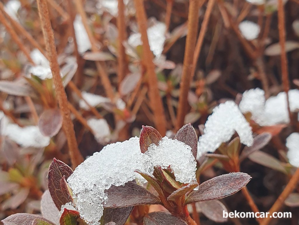 2026년 3월 6일 일산 정발산공원 모습|베콤카 차량정밀진단