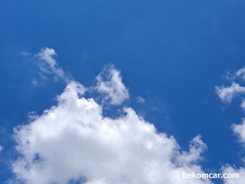 가을의 선물, 솜사탕 왔어요. 사실은 한 여름이다.|bekomcar.com