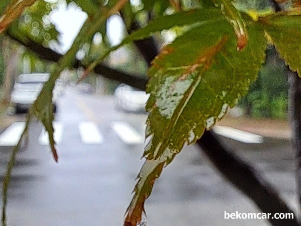 어젯밤에는 비가 내렸다. 가을비이다.|bekomcar.com