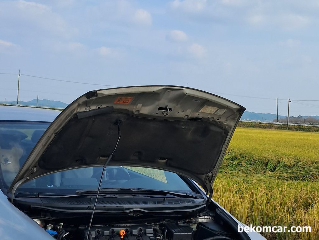 혼다 시빅, 라스의 어느가을날의 들판 나들이|bekomcar.com