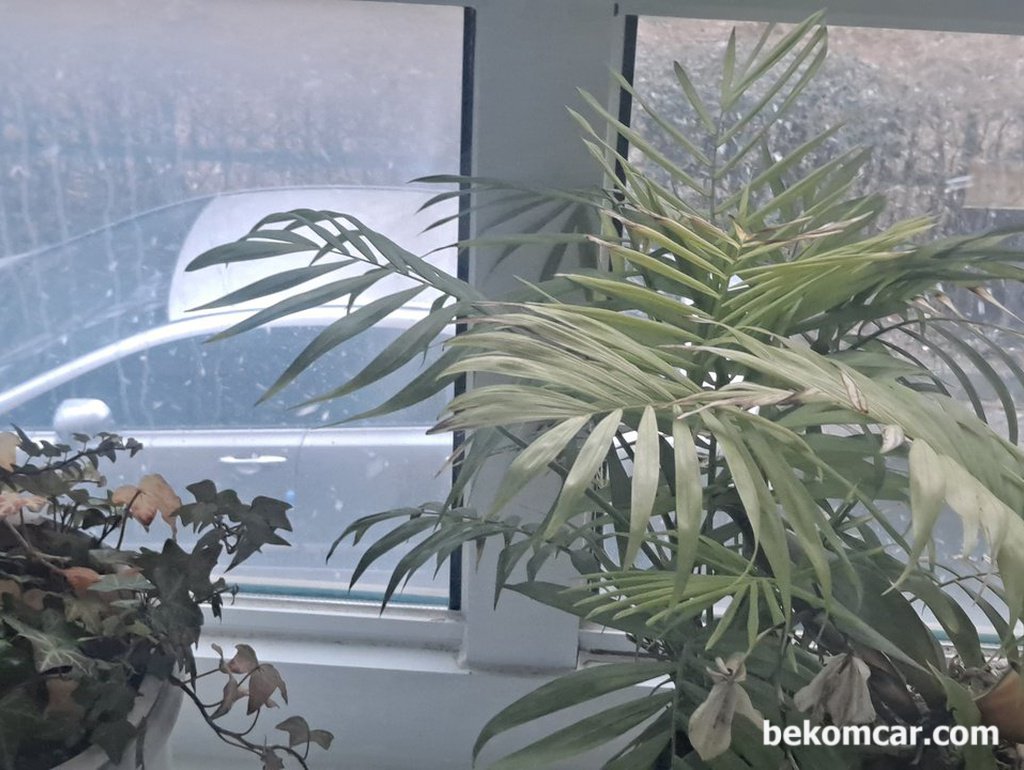 오늘 갑자기 눈이내린다. 창밖으로 라스가 보인다.|베콤카 차량정밀진단