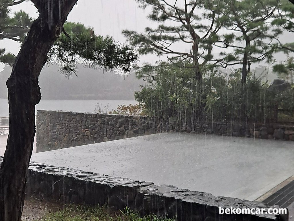 イルサン湖公園でジョギングの最中にどこからともなく激しいにわか雨|ベコムカー (bekomcar)