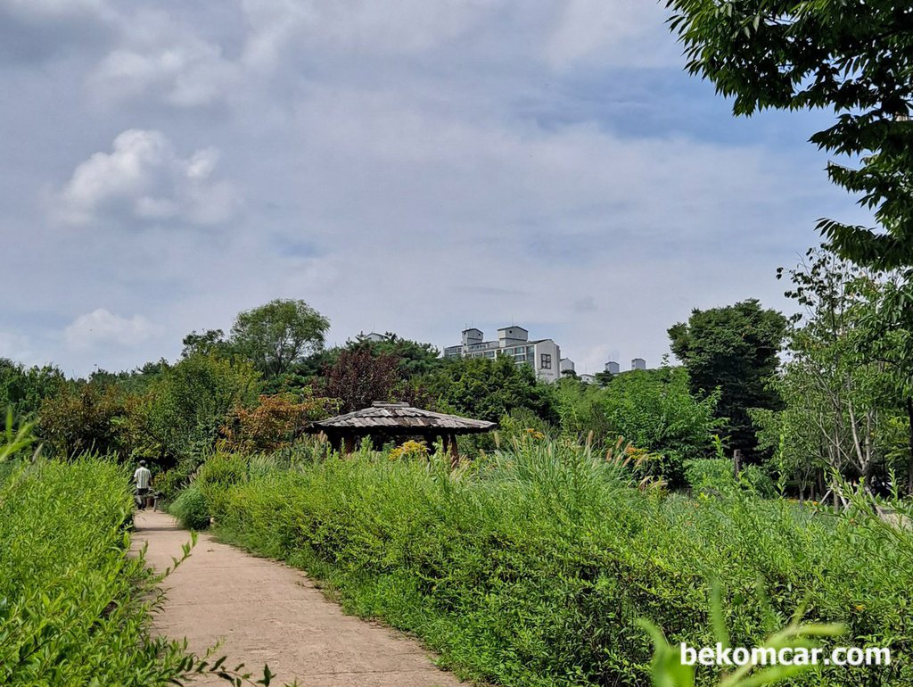 野菜とキムチのハーブガーデン、湖公園、高陽市|ベコムカー (bekomcar)