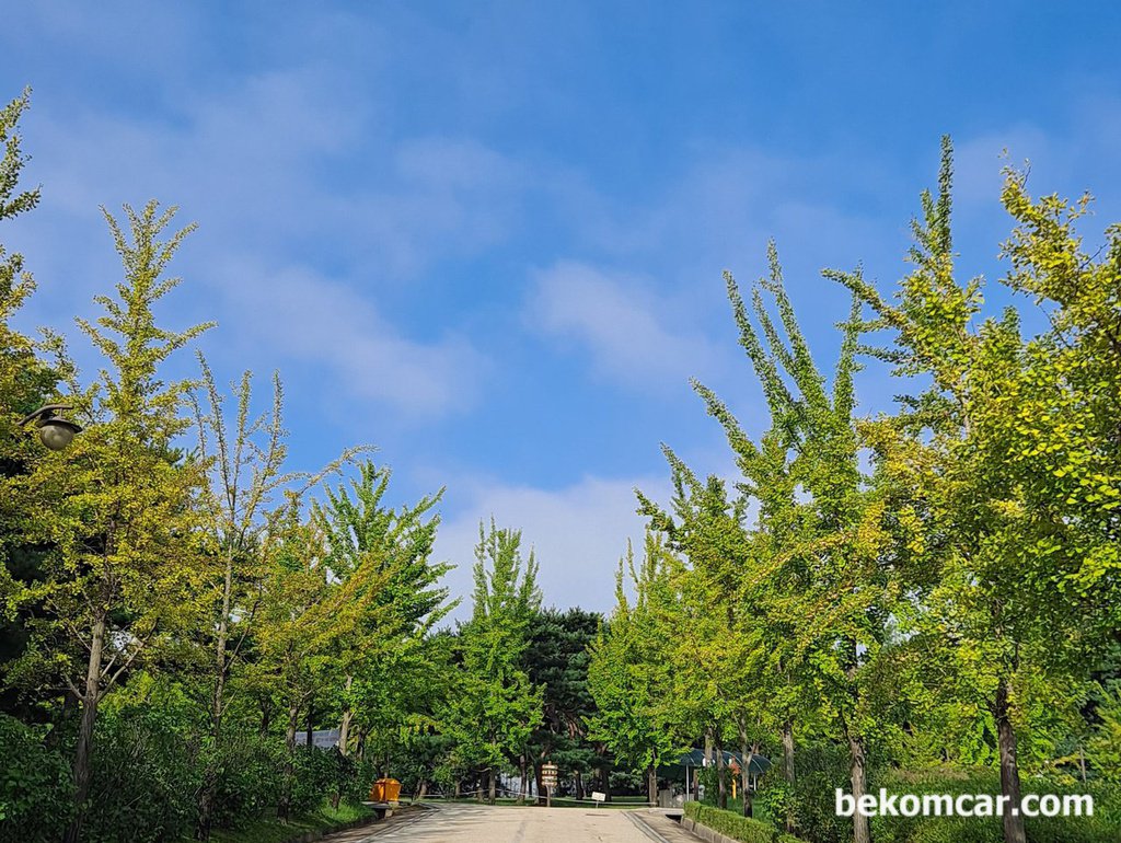 On the way to work, the morning feeling that autumn has arrived|bekomcar.com