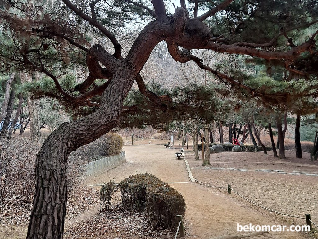 출근길에 찰칵, 항상 경치가 좋은 정발산이다|베콤카 차량정밀진단