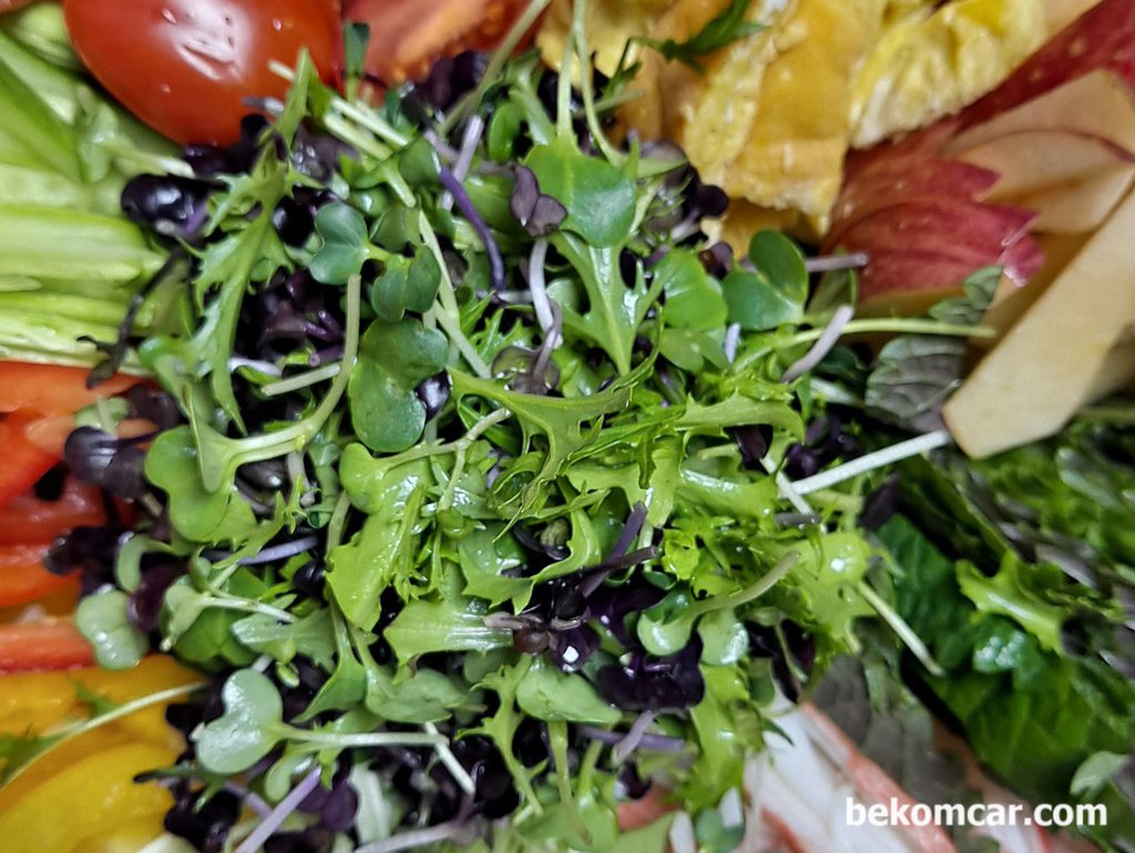 가볍게 맛있는 식사를 하세요. 건강식입니다.|贝科姆汽车 (bekomcar)