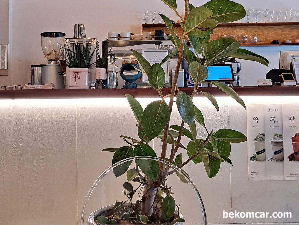 오류역 부근의 한 커피샵 에서|bekomcar.com