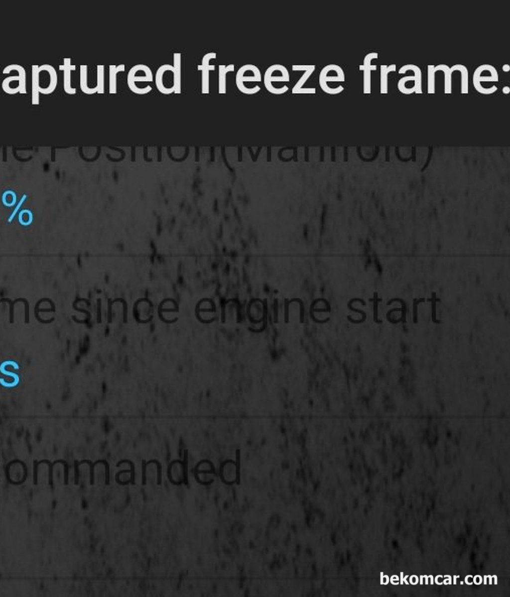 차량 엔진경고등이 발생당시의 차량상태를 알려주는 Freeze frame 이 뭔가요?|贝科姆汽车 (bekomcar)