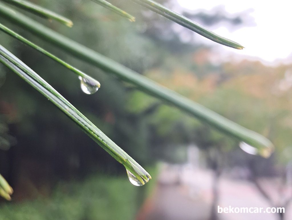 늦 여름의 비오는 일산의 거리|베콤카 차량정밀진단