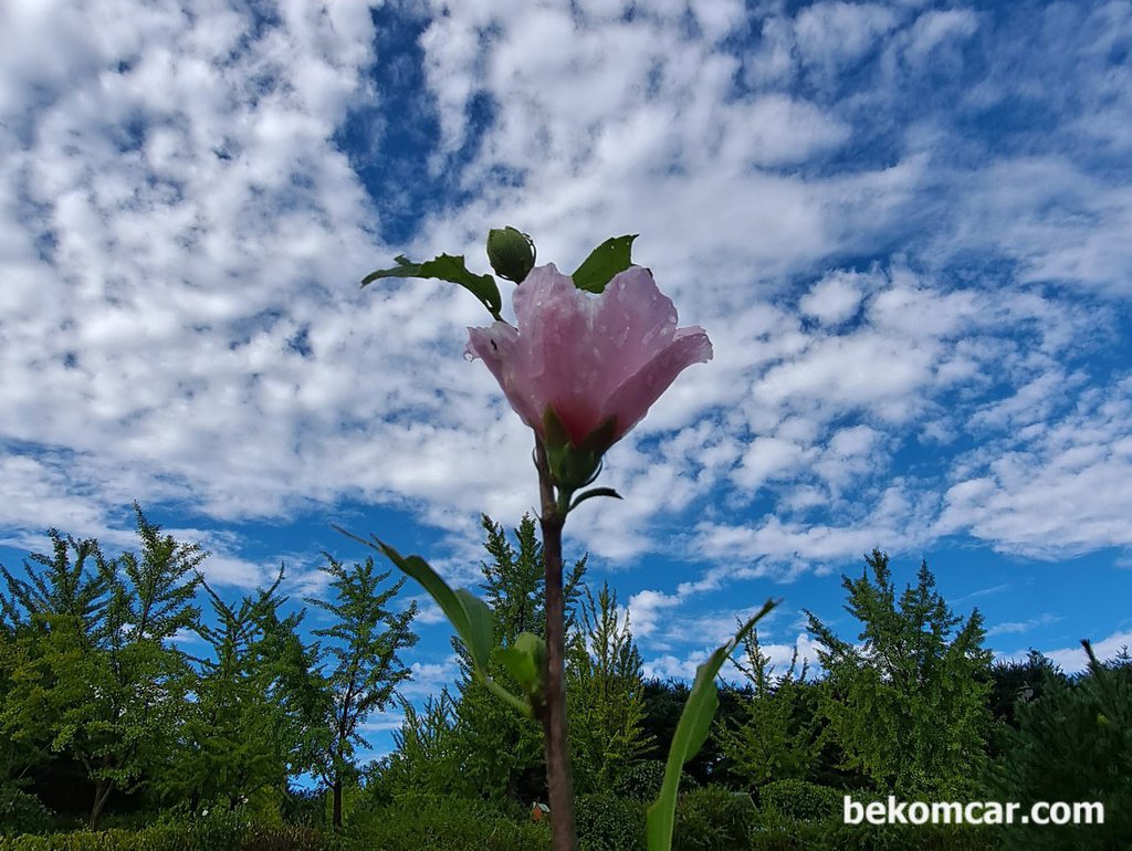 태풍이 지나고 난 후 일산 정발산에서|بيكومكار  (bekomcar)