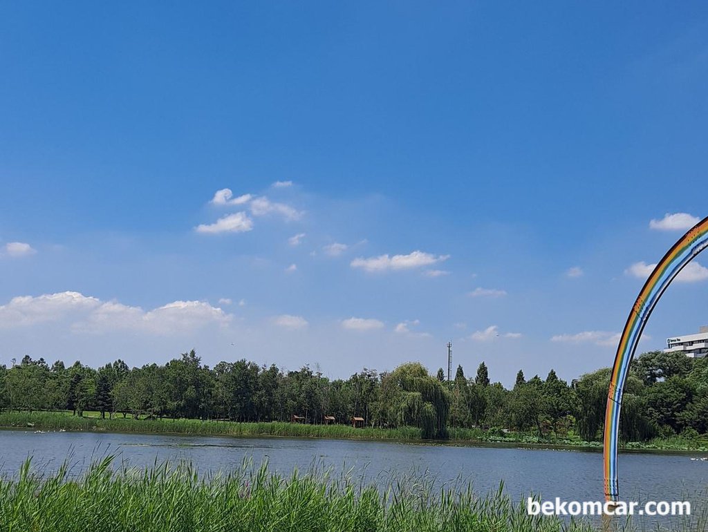 夏の日のイルサン湖公園での素晴らしい時間|ベコムカー (bekomcar)