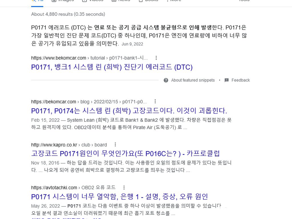 베콤카 구글검색 'P0171 고장코드 분석 검색결과 페이지|贝科姆汽车 (bekomcar)