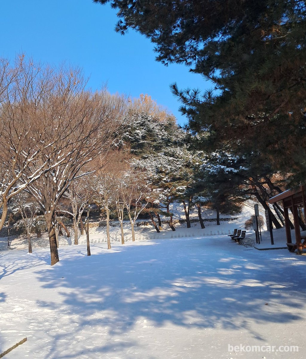 눈길 안운하세요|베콤카 차량정밀진단