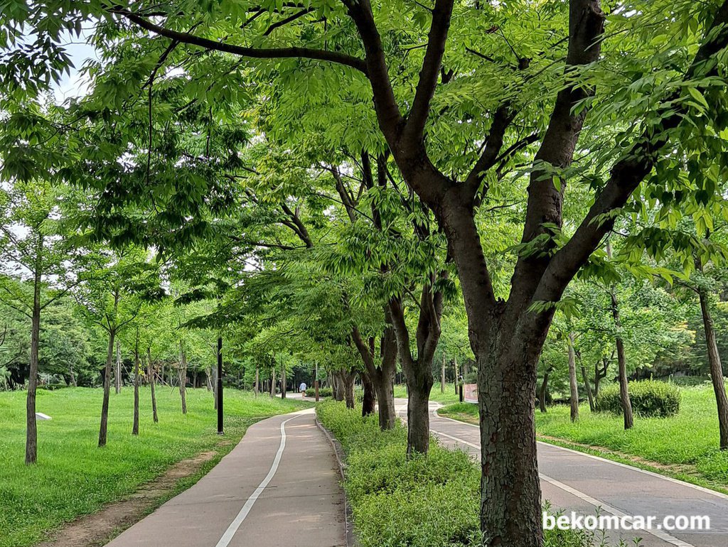 韓国のイルサン湖公園での毎日のジョギング|ベコムカー (bekomcar)