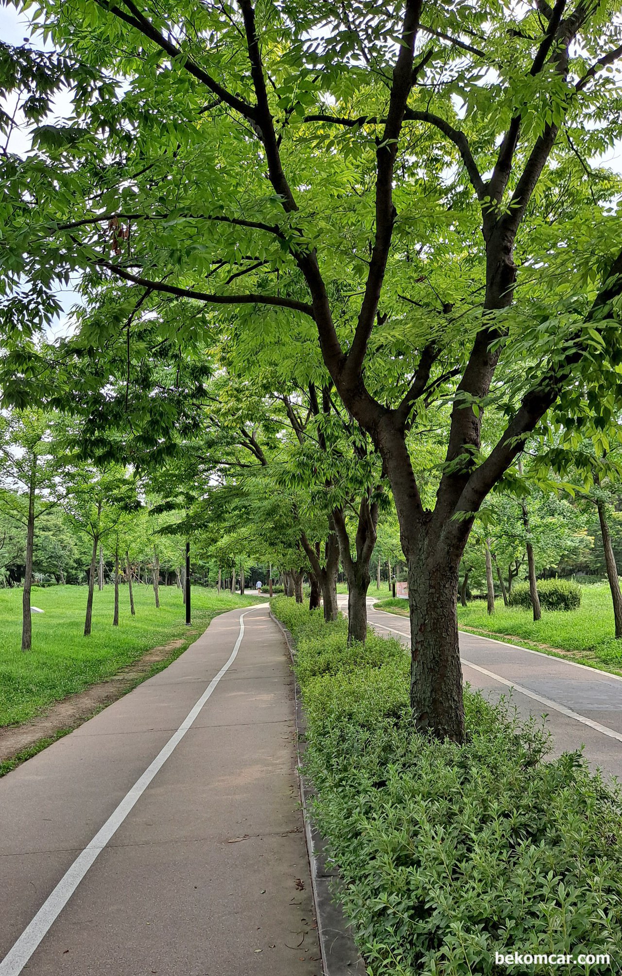 韓国のイルサン湖公園での毎日のジョギング, None|ベコムカー (bekomcar)