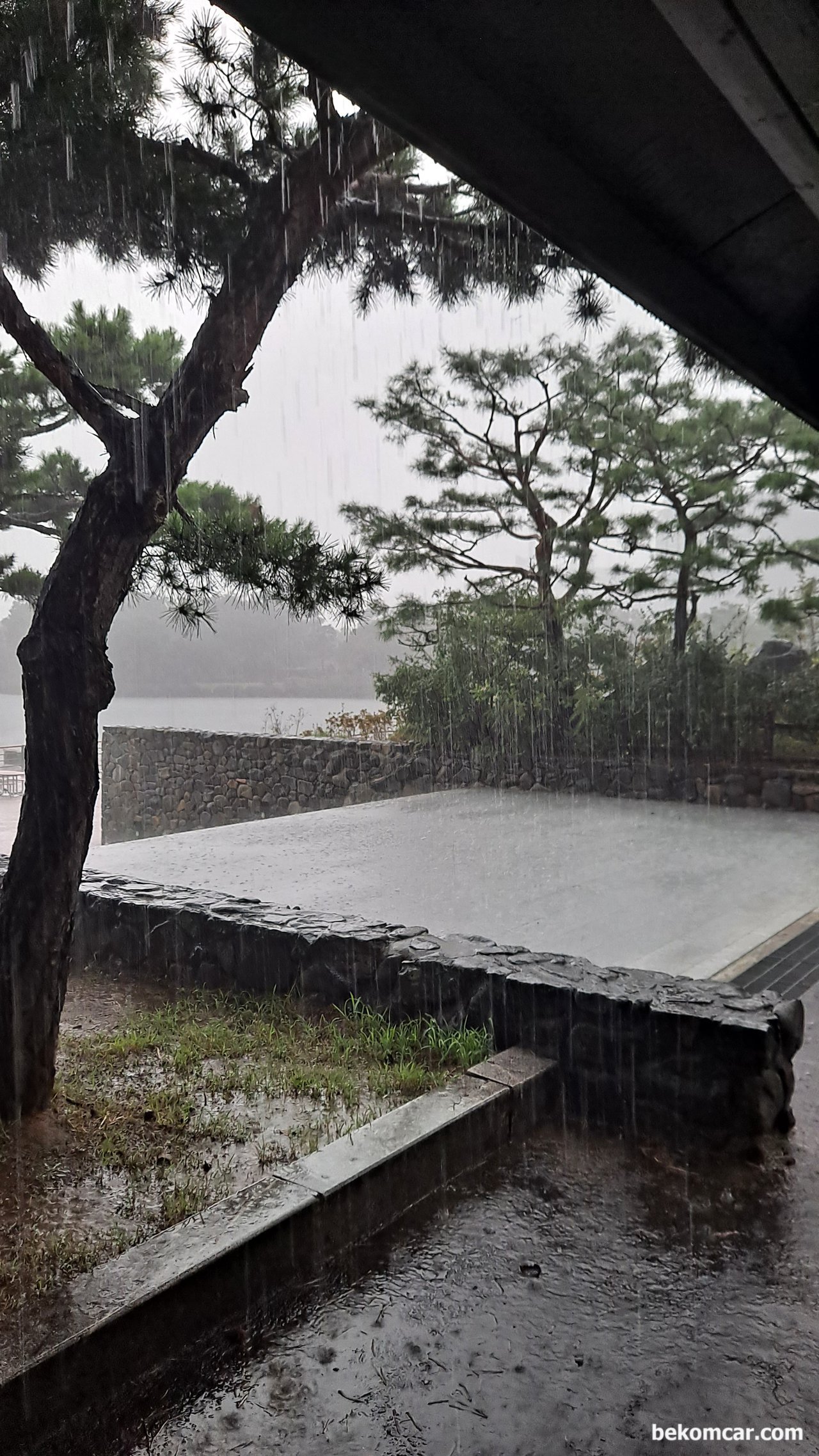 イルサン湖公園でジョギングの最中にどこからともなく激しいにわか雨, None|ベコムカー (bekomcar)