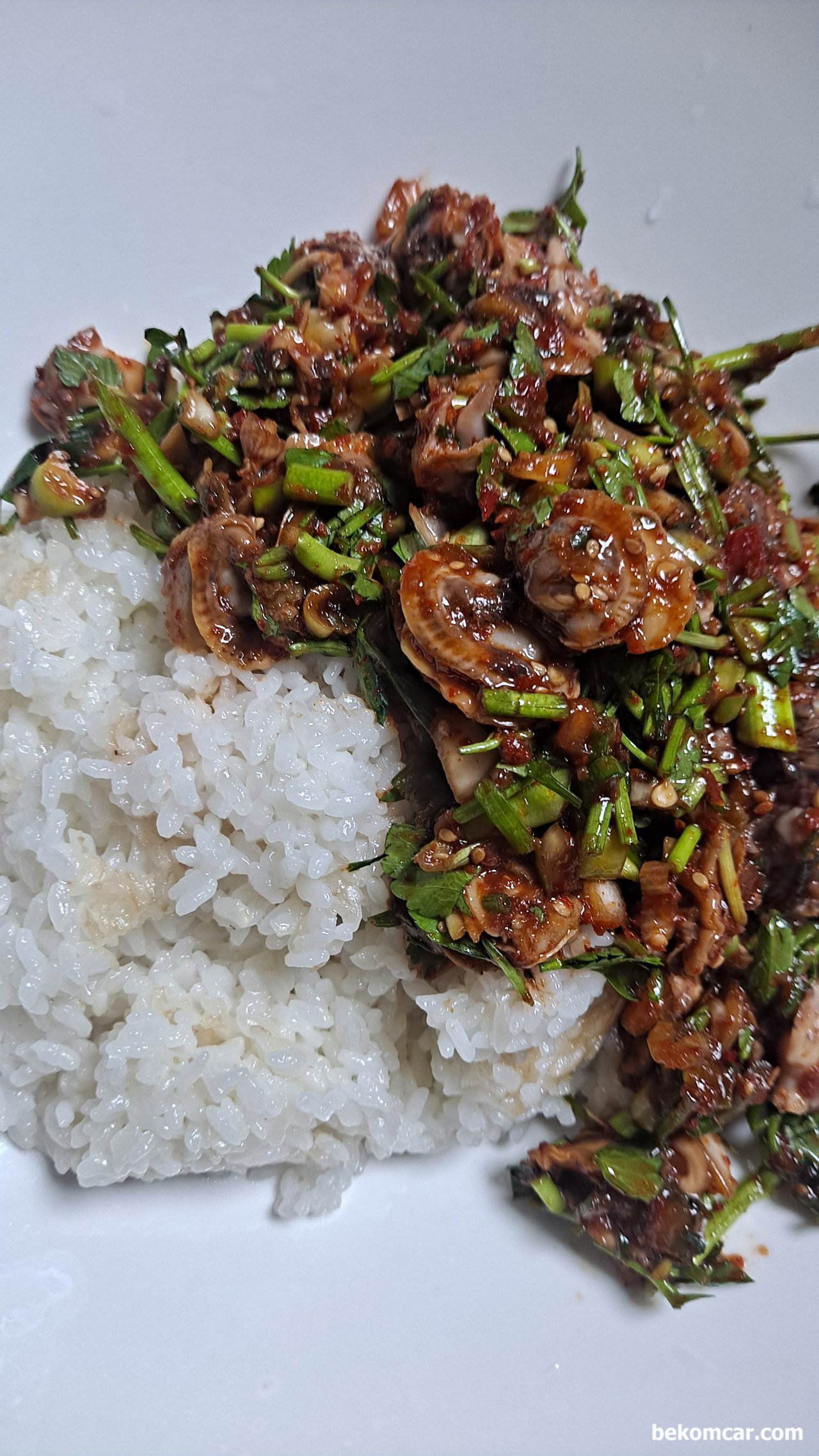 저녁식사이다. 꼬막이랑 밥이랑 함께 나오고 국도 있다, 맛있는 꼬막 비빔밥 이다. 별식이다. 고맙게 맛있게 먹을것이다.|ベコムカー (bekomcar)