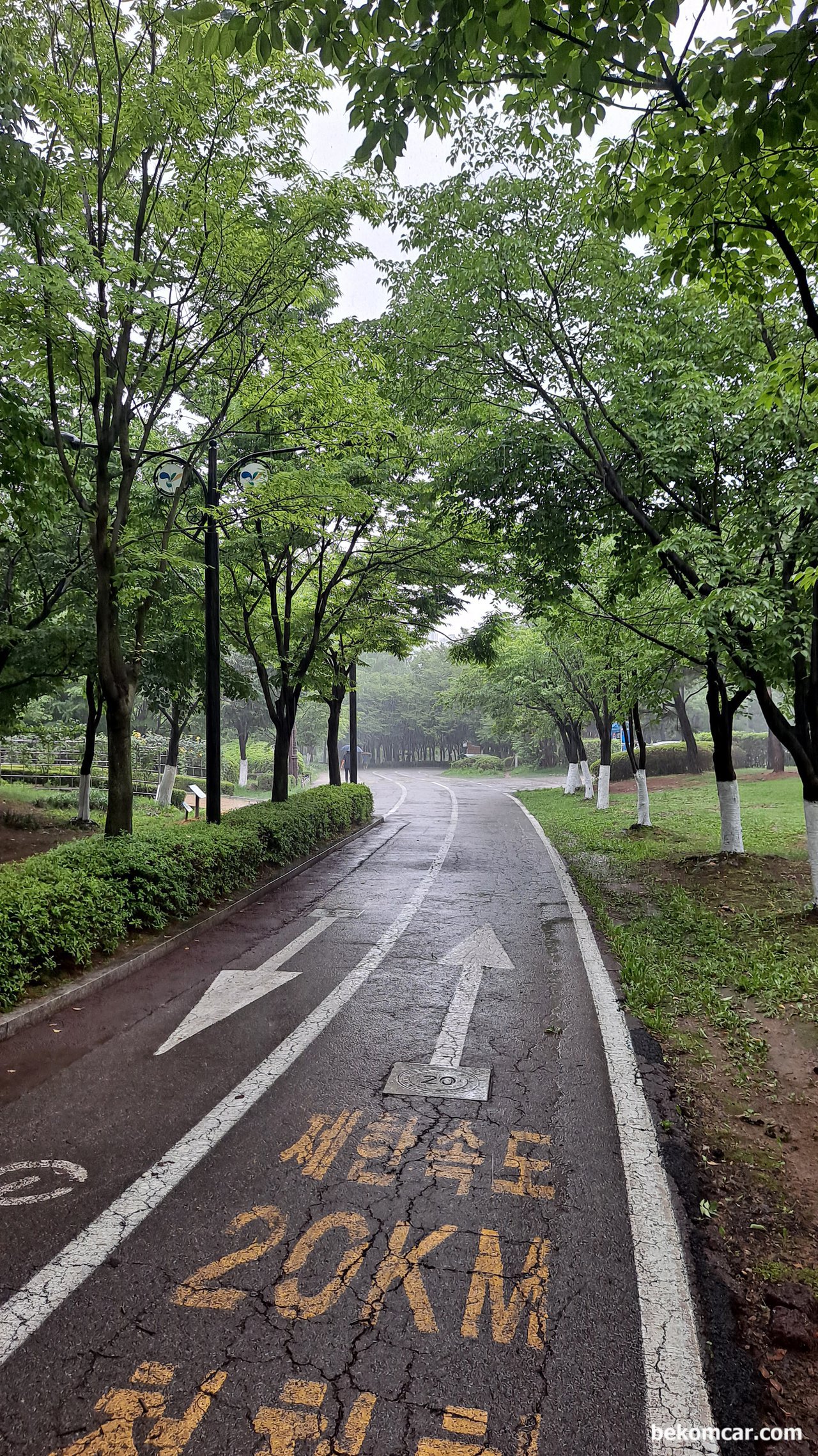 사람과 차량은 많은 면에서 매우 닮은점이 많은듯 하다, 일산 호수공원의 산책길이다. 참 좋은 공원이고 항상 기분이 좋아지는 공원이다.|bekomcar.com