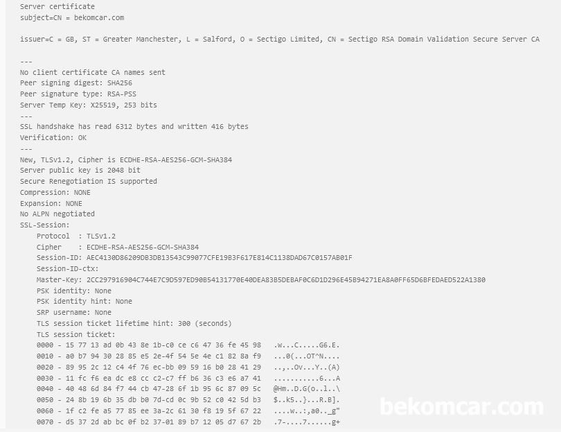베콤카 사이트 보인인증 및 서버업데이트 작업 마무리, 베콤카 bekomcar.com Server Certificate SSL HandShake SSL-Session|베콤카 (bekomcar.com)