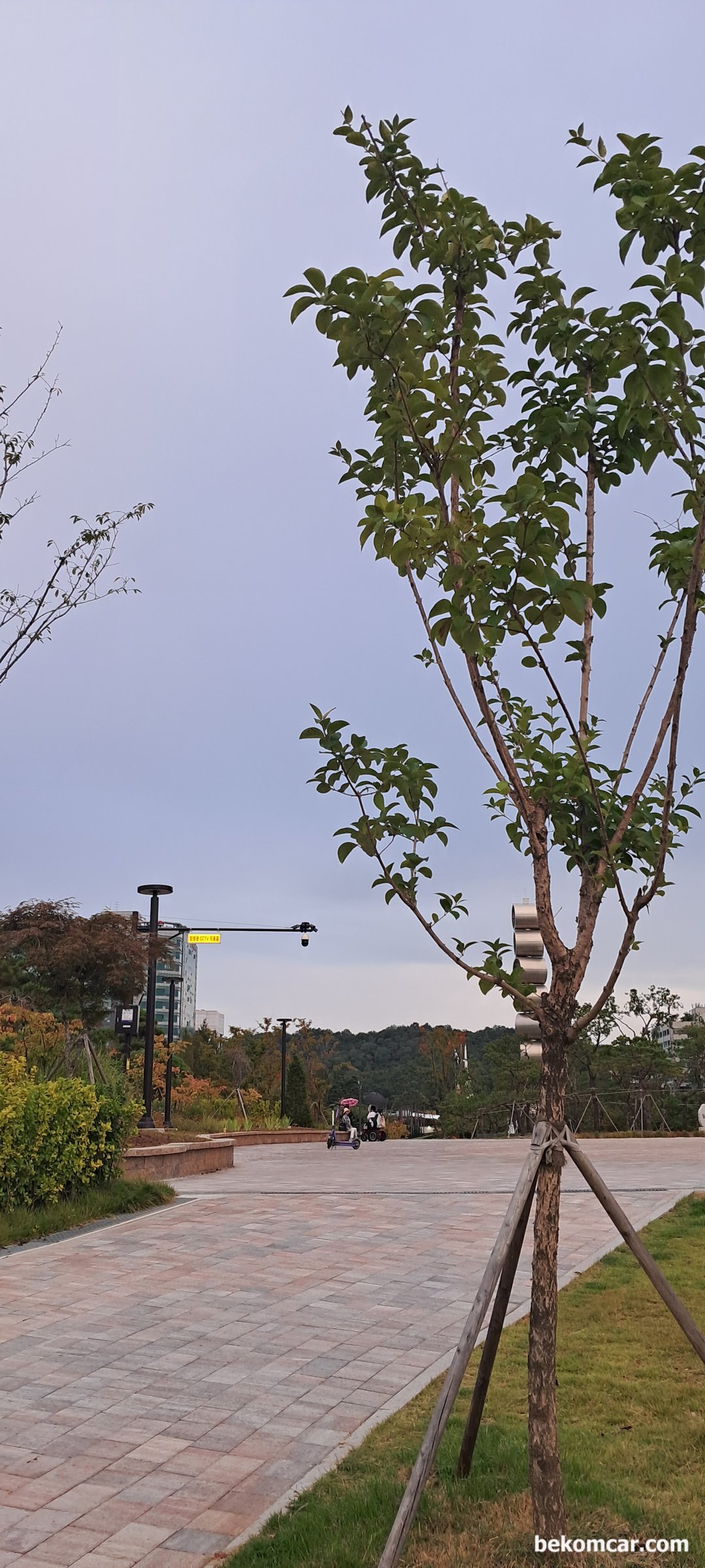 어느 가을 날 일산 호수공원 모습, 얼마전에 바꾼 일산 호수공원으로 가는 육교옆 공원다리이다.|베콤카 중고차구매진단