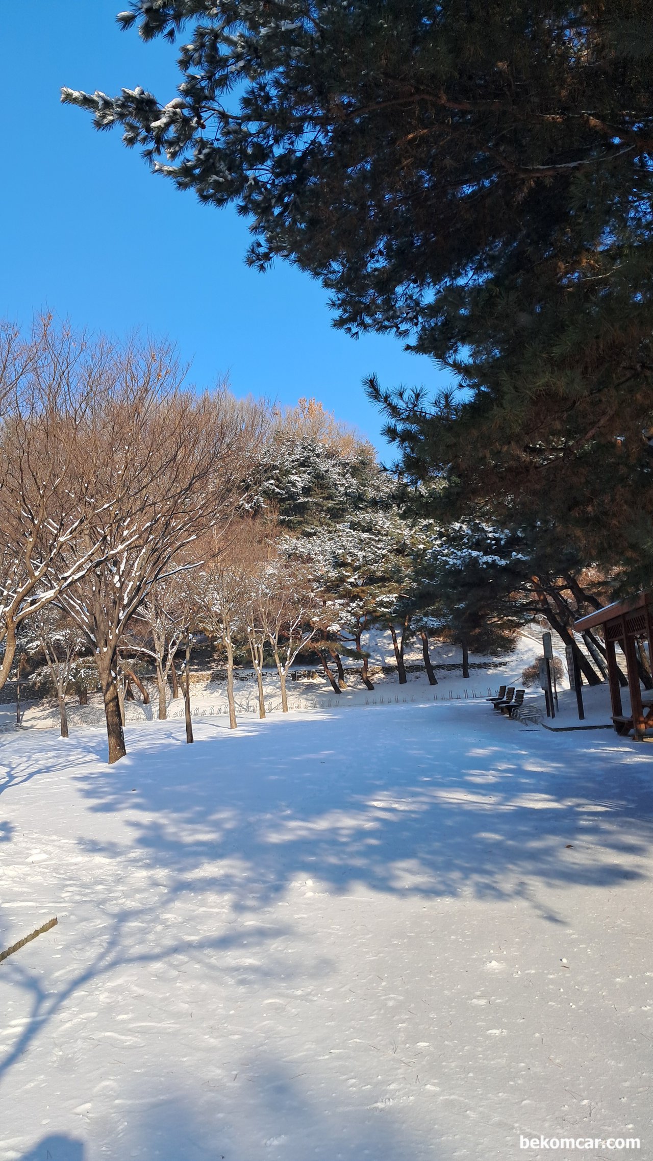 눈길 안운하세요, 2025.2.7 일산의 눈 내린 모습. 모두 안전 운전 하세요|베콤카 중고차구매진단