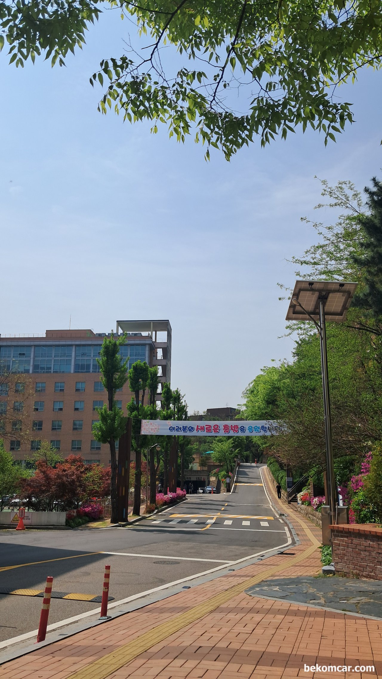 2025년 일산 과 이태원 봄 날의 꽃, 서울 이태원에 있는 정수폴리텍 대학 모습이다. 오늘 2025.4.24일 산기실기 장소이다.|بيكومكار (bekomcar)