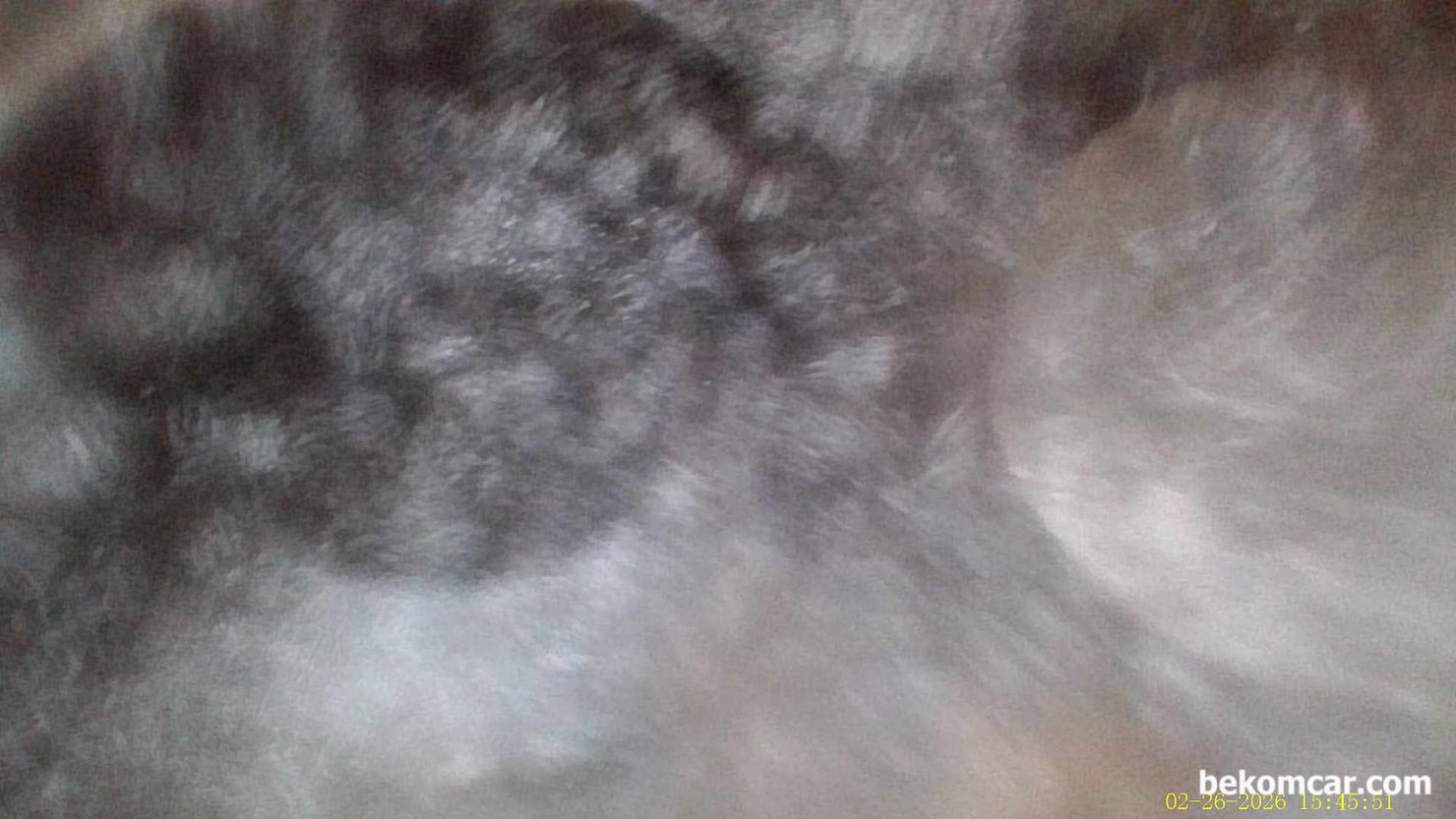 혼다 어코드 10세대 2.0T 간헐적 시동지연 내시경검사, 눈 바람 확인, #4번 실린더 밸브쪽 검사시 갑자기 눈 바람이 불고 있는 상태가 확인된다. 진짜로 눈 바람 같다. 실린더 내시경 검사 차량은 2018년 혼다 어코드 10세대 2.0T 약 4만키로 주행했다.|ベコムカー (bekomcar)