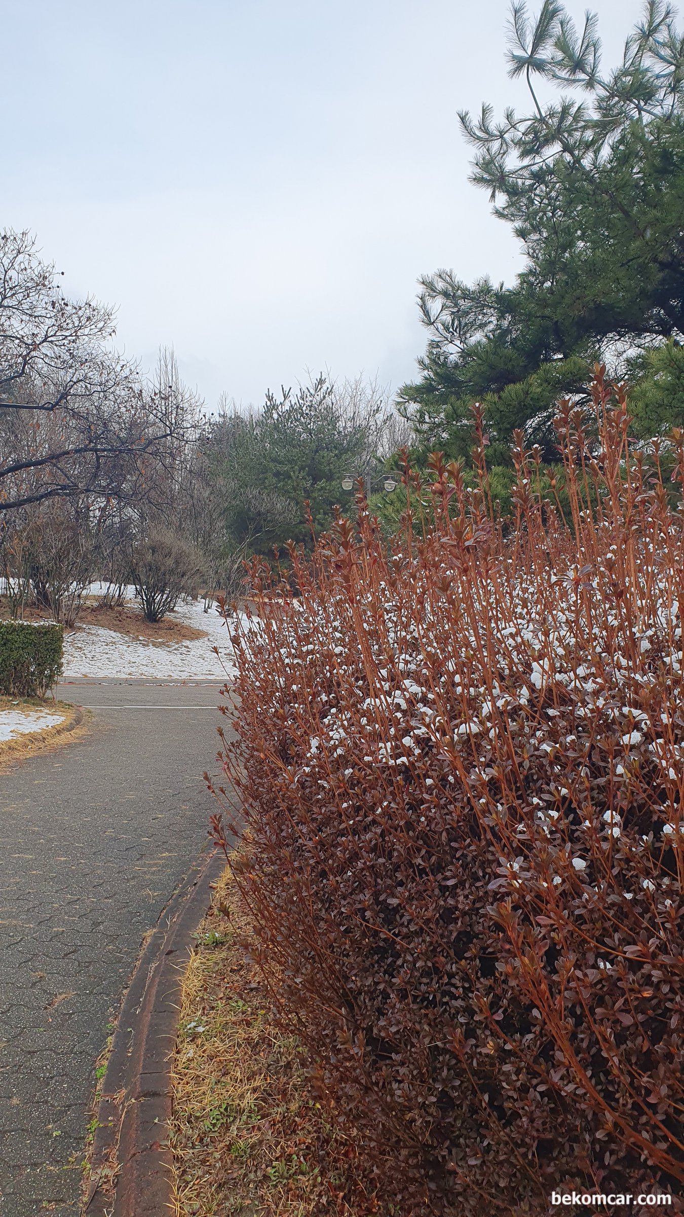 2026년 3월 6일 일산 정발산공원 모습, 2026년 3월 6일 일산 정발산공원 모습, 눈 이 내려 반겁게 맞이한다.|bekomcar.com