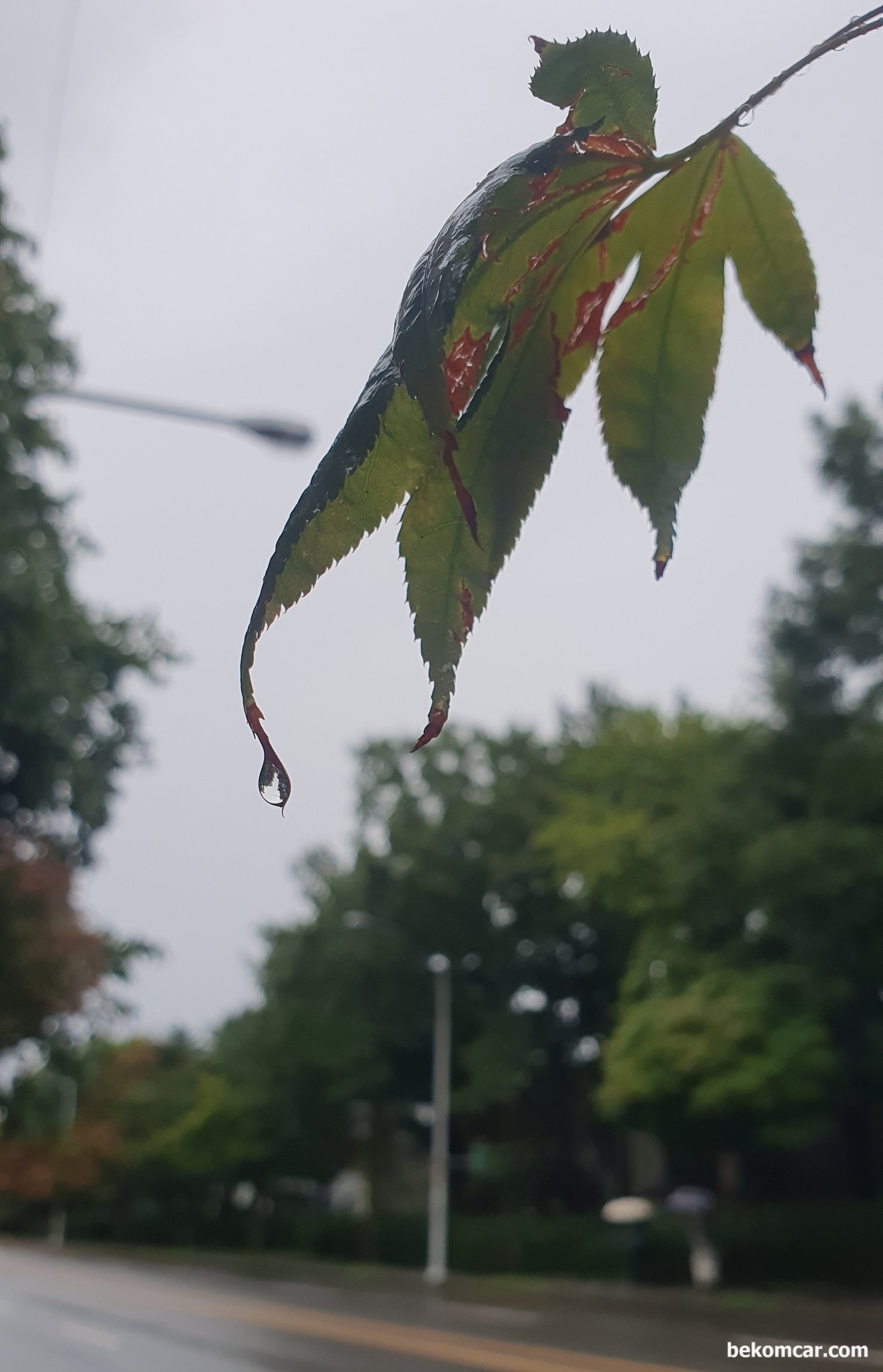 시간은 변함없다. 가을비도 반갑다, |贝科姆汽车 (bekomcar)